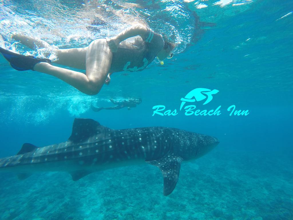 Ras Beach Inn Rasdhoo Dış mekan fotoğraf
